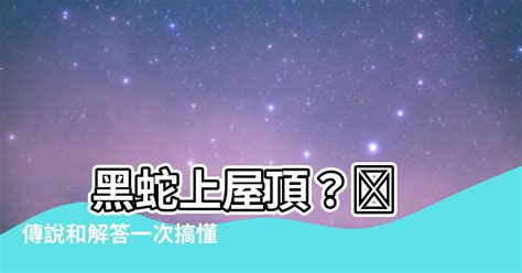 蛇进屋子代表什么意思|蛇进屋有什么征兆？根据风水解码蛇入屋现象